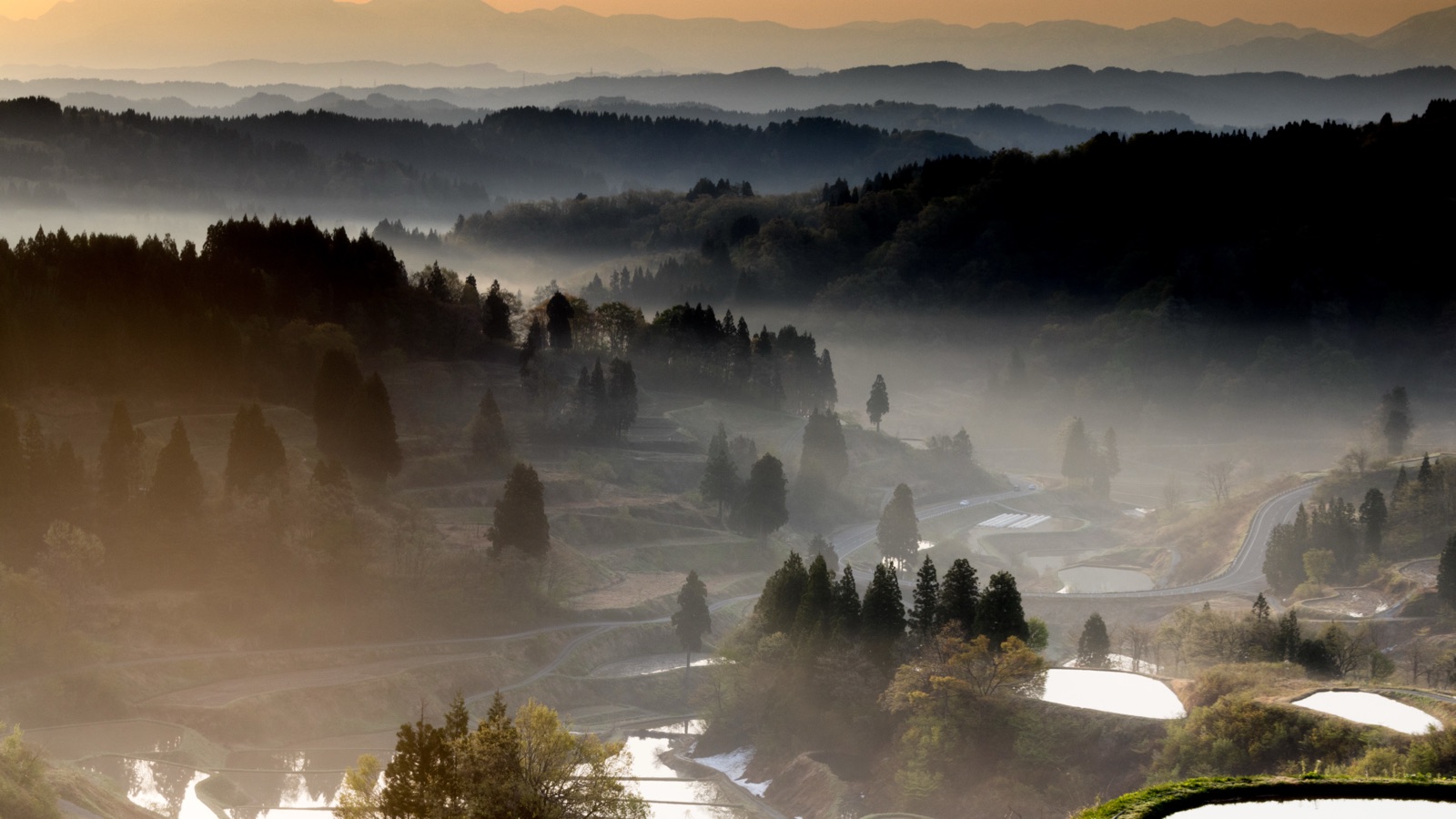 新潟梯田晨曦 朝陽揭開晨間面紗（新潟県）