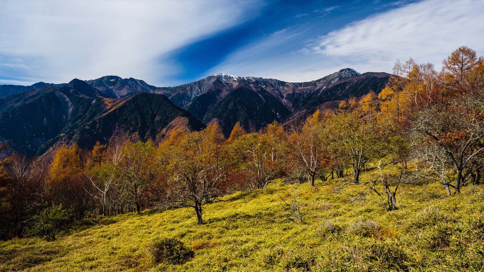 夜叉神峠：白峰三山的眺望點（山梨県）