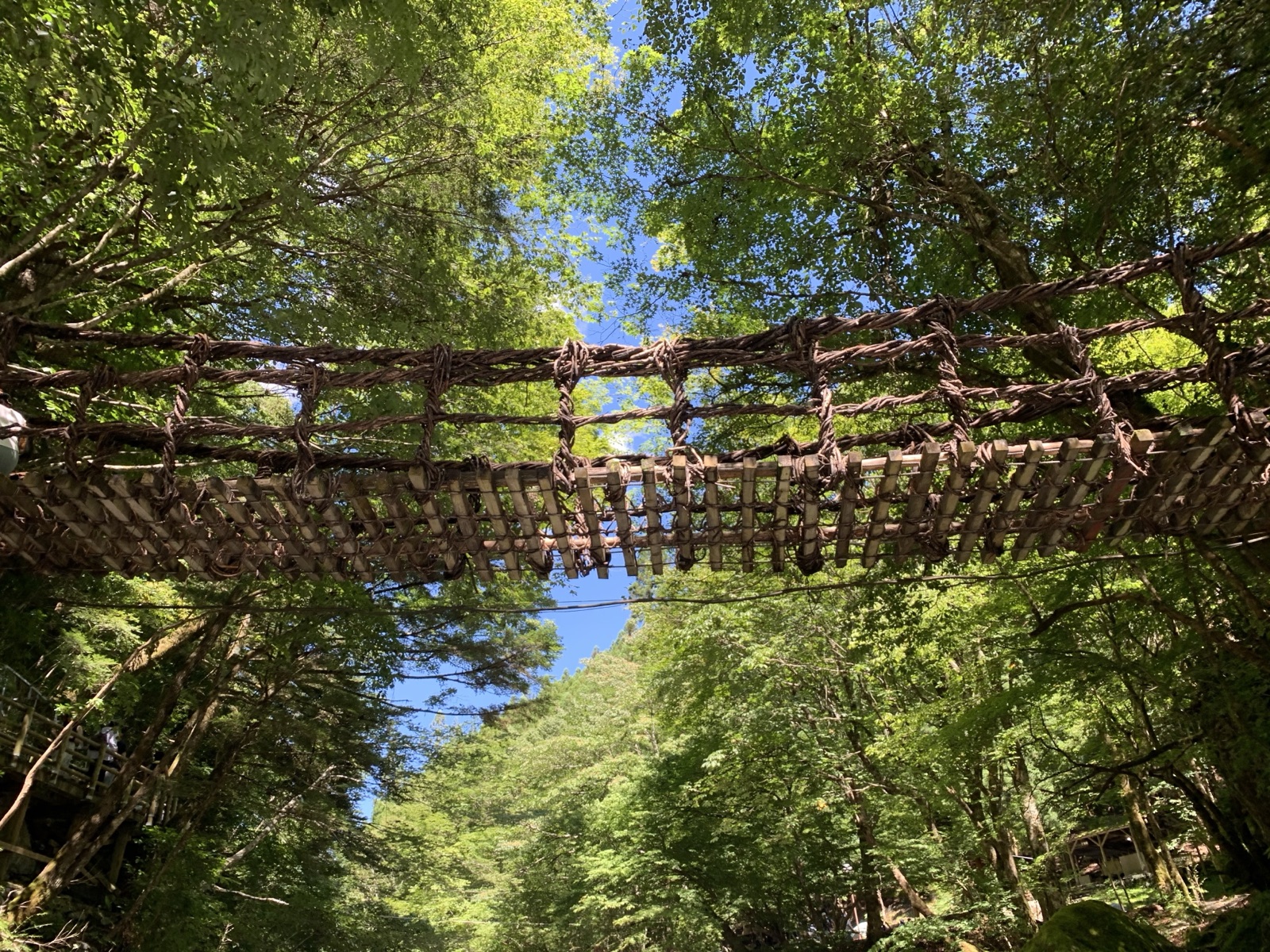 祖谷的葛藤橋 德島深山中的原始風景（徳島県）