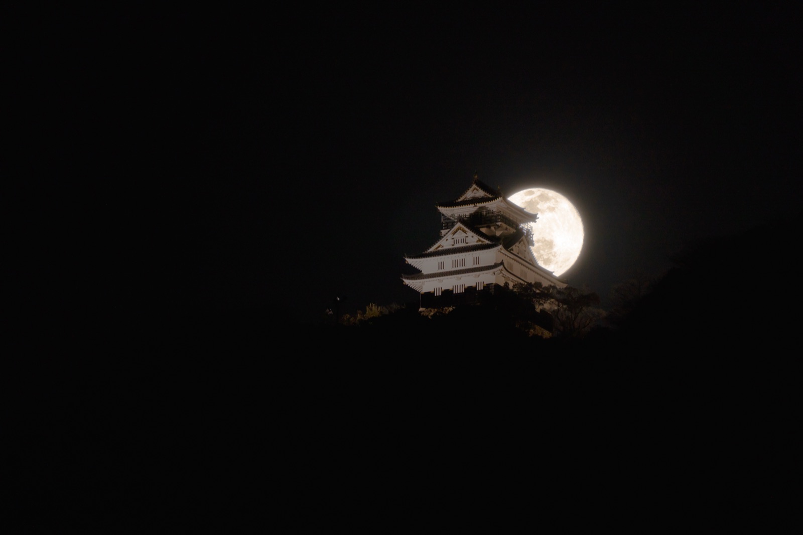 岐阜城矗立於山巔的古老遺韻（岐阜県）
