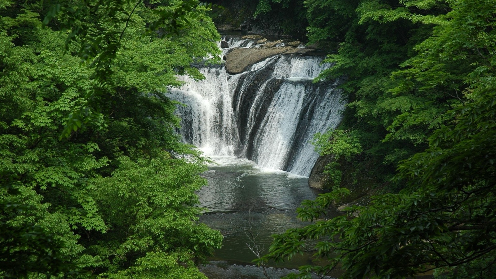 茨城縣大子町生瀬瀑布夏日風景（茨城県）