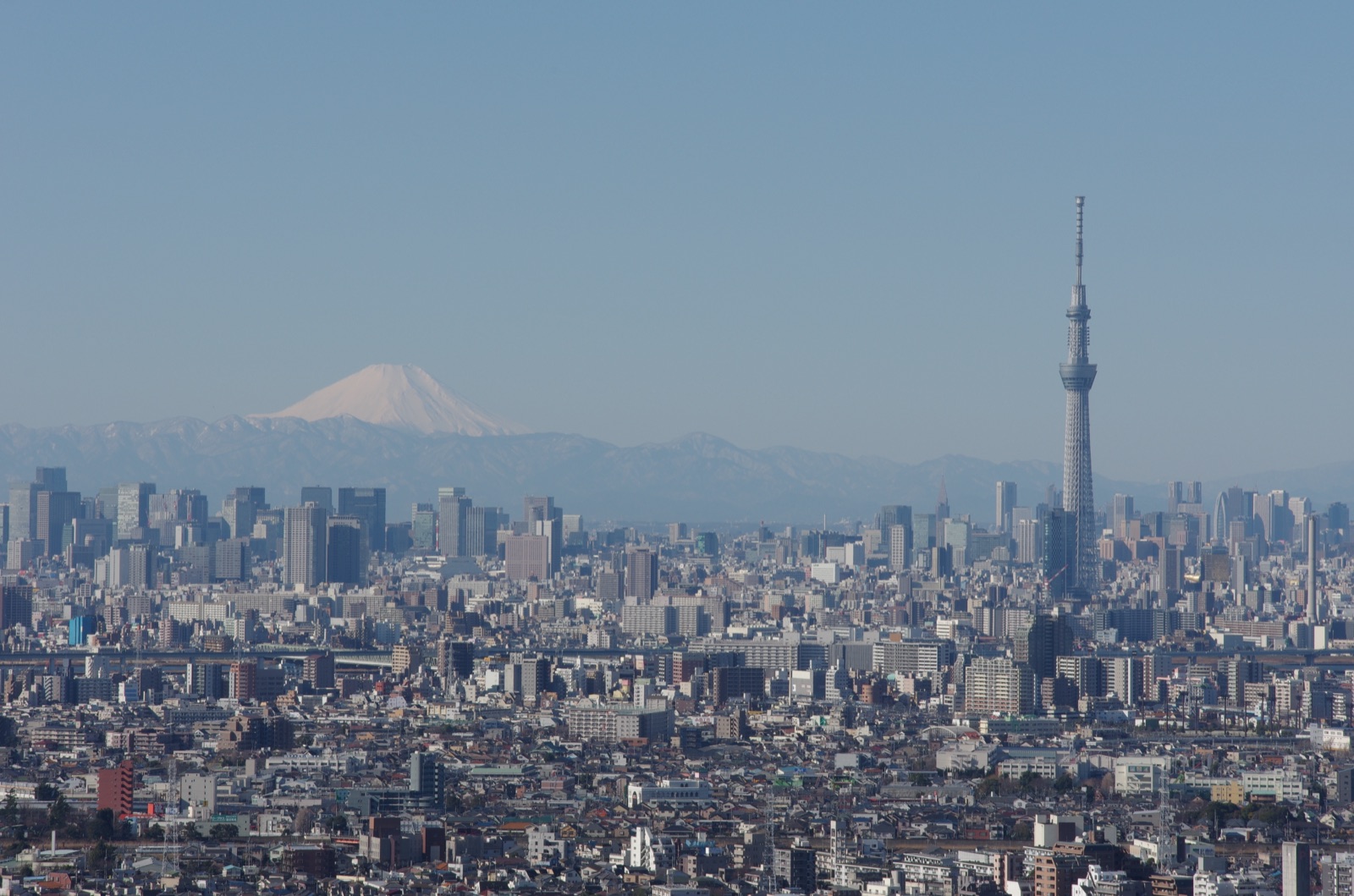 從市川市眺望富士山與晴空塔（千葉県）