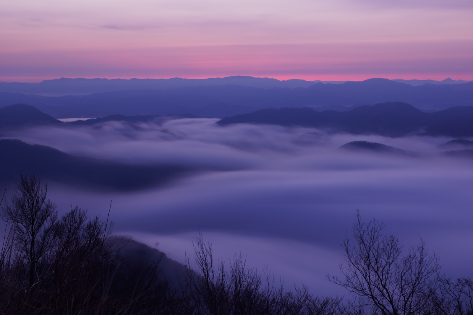 兵庫春霧 來日嶽的雲海時節（兵庫県）