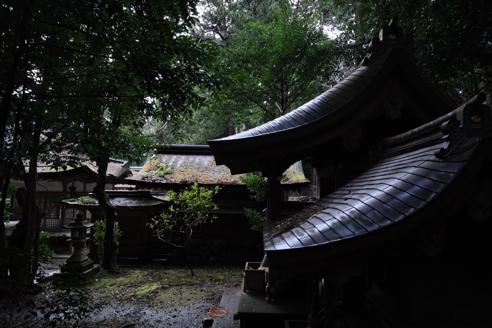 滋賀油日神社的靜謐時刻（滋賀県）