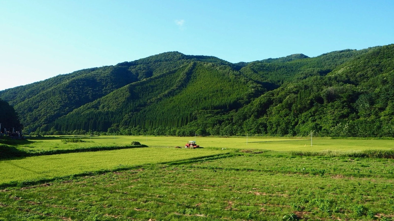 稻米之鄉秋田縣的風景（秋田県）