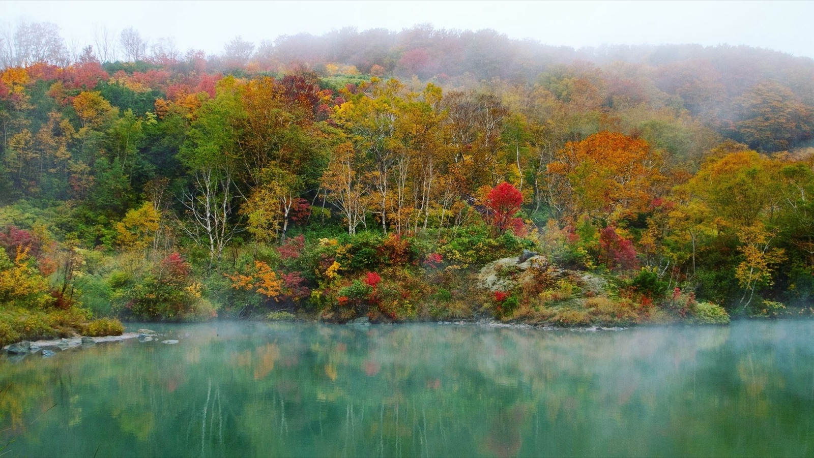 朝霧與溫泉煙靄——青森地獄沼的寧靜時刻（青森県）
