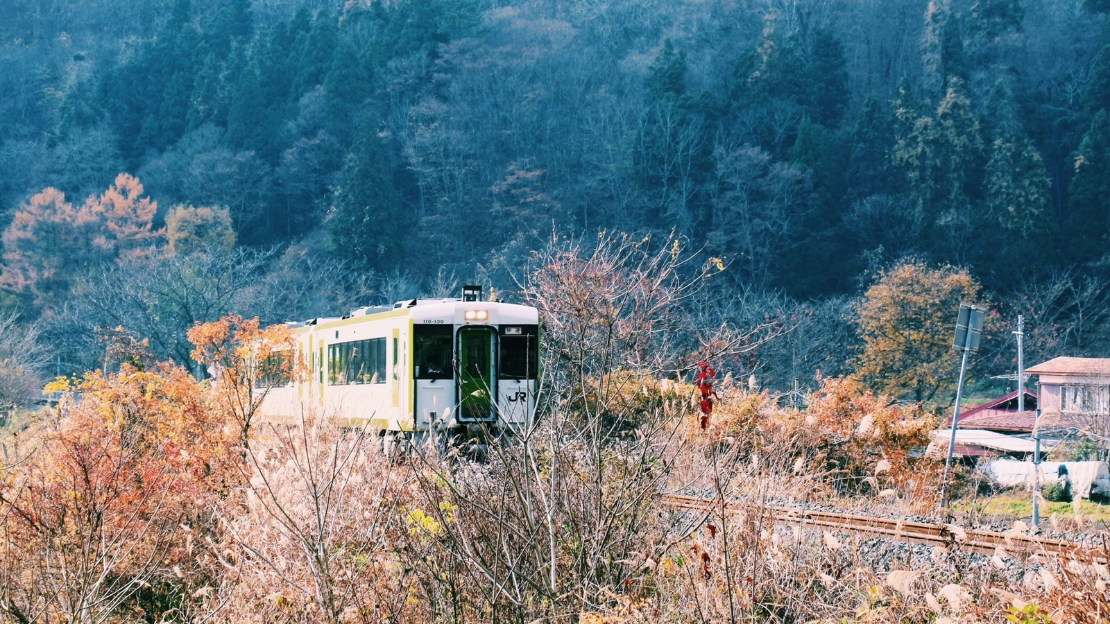 山與電車：岩手縣的交匯之景（岩手県）