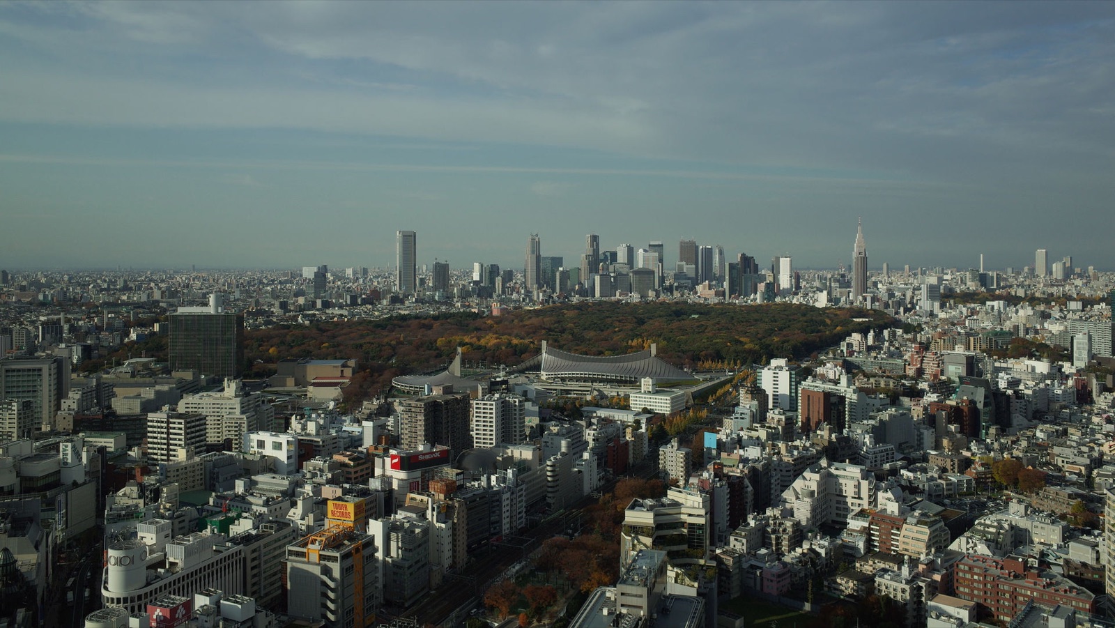 東京新宿副都心：摩天大樓群的都市景象（東京都）