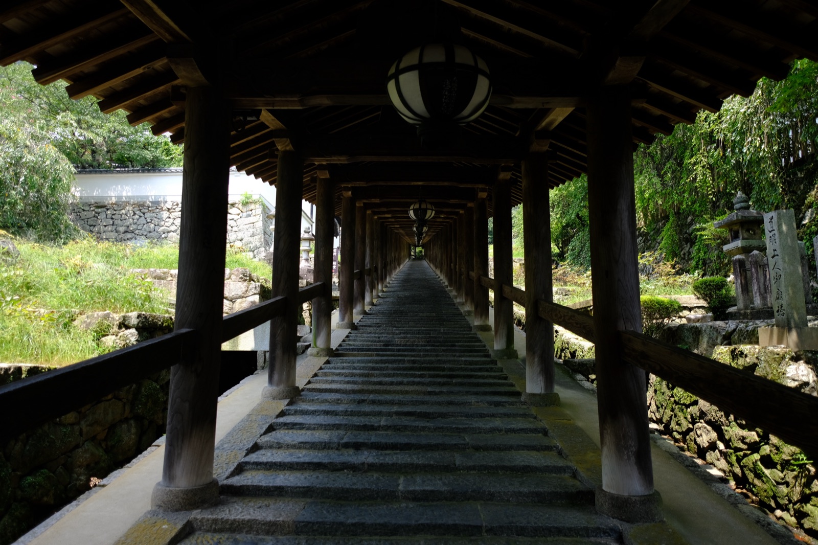 奈良長谷寺的靜謐時刻（奈良県）