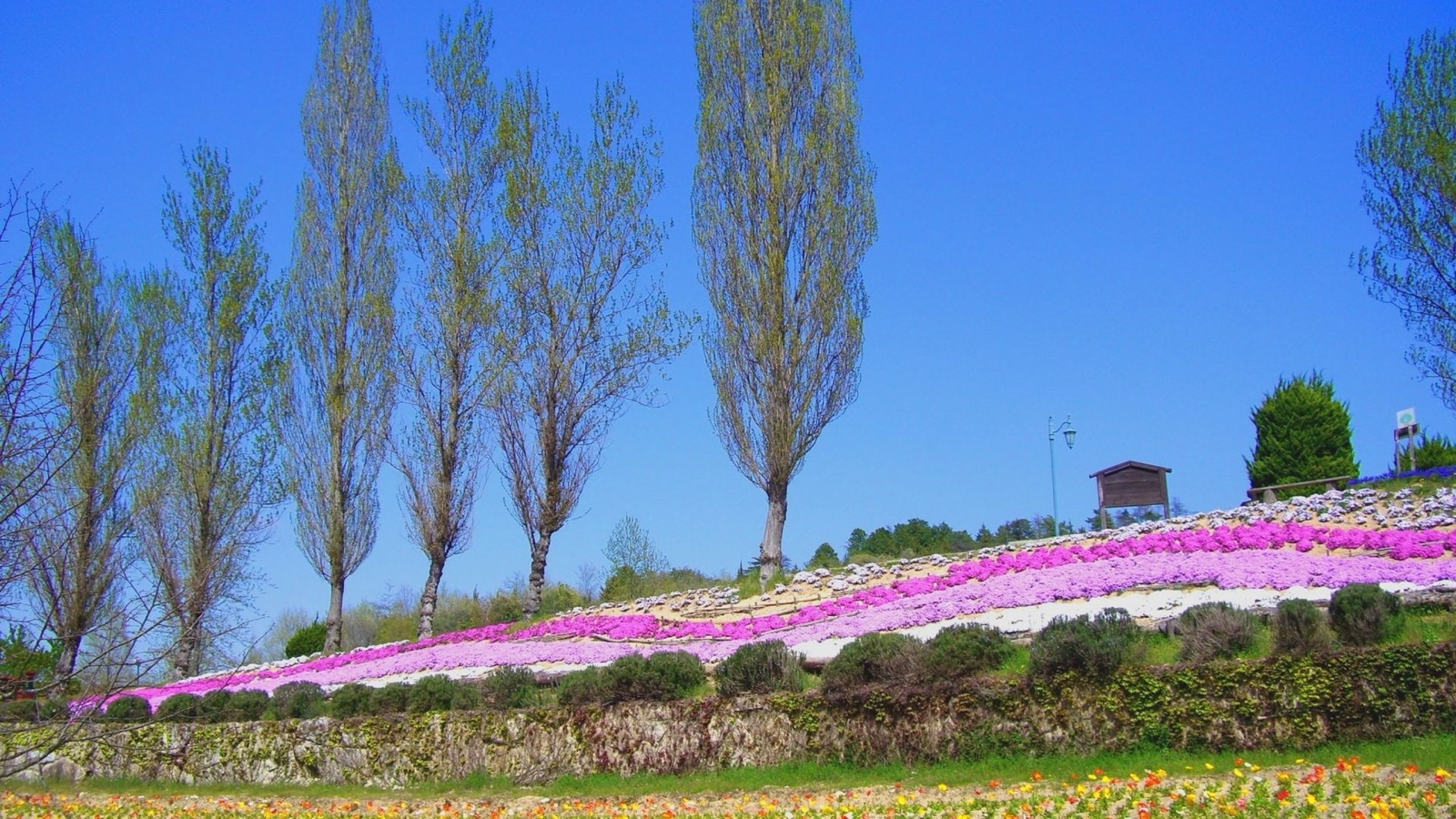 赤磐市的森林公園 光影流轉的午後（岡山県）