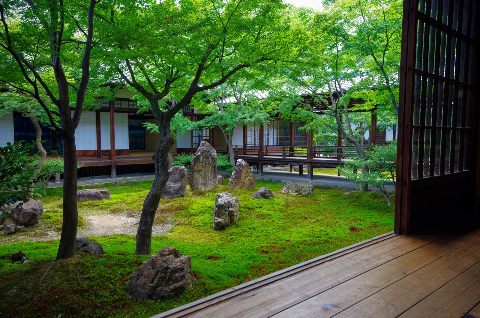 京都建仁寺潮音庭的靜謐禪意（京都府）
