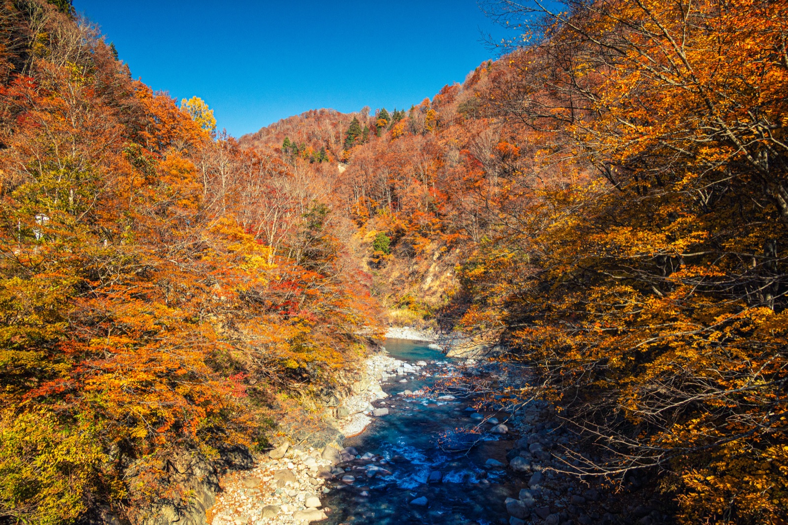 新潟秋山郷　狹谷四時風景（新潟県）
