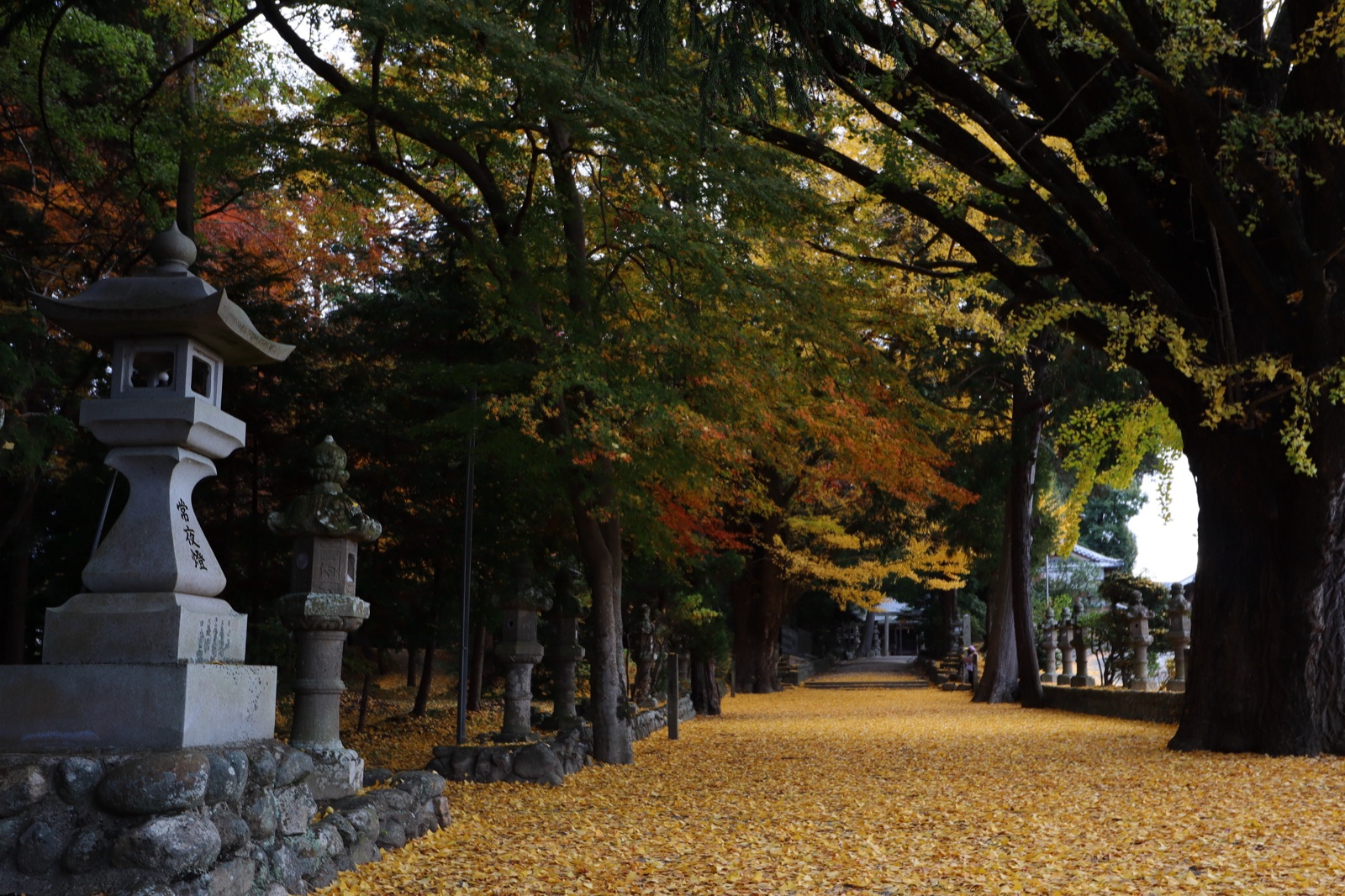 三重縣積田神社的靜謐時刻（三重県）