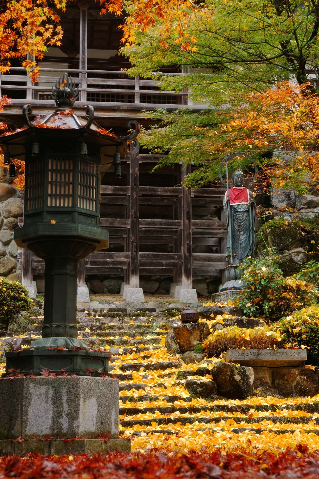 兵庫縣長源寺 秋色交織的多彩世界（兵庫県）