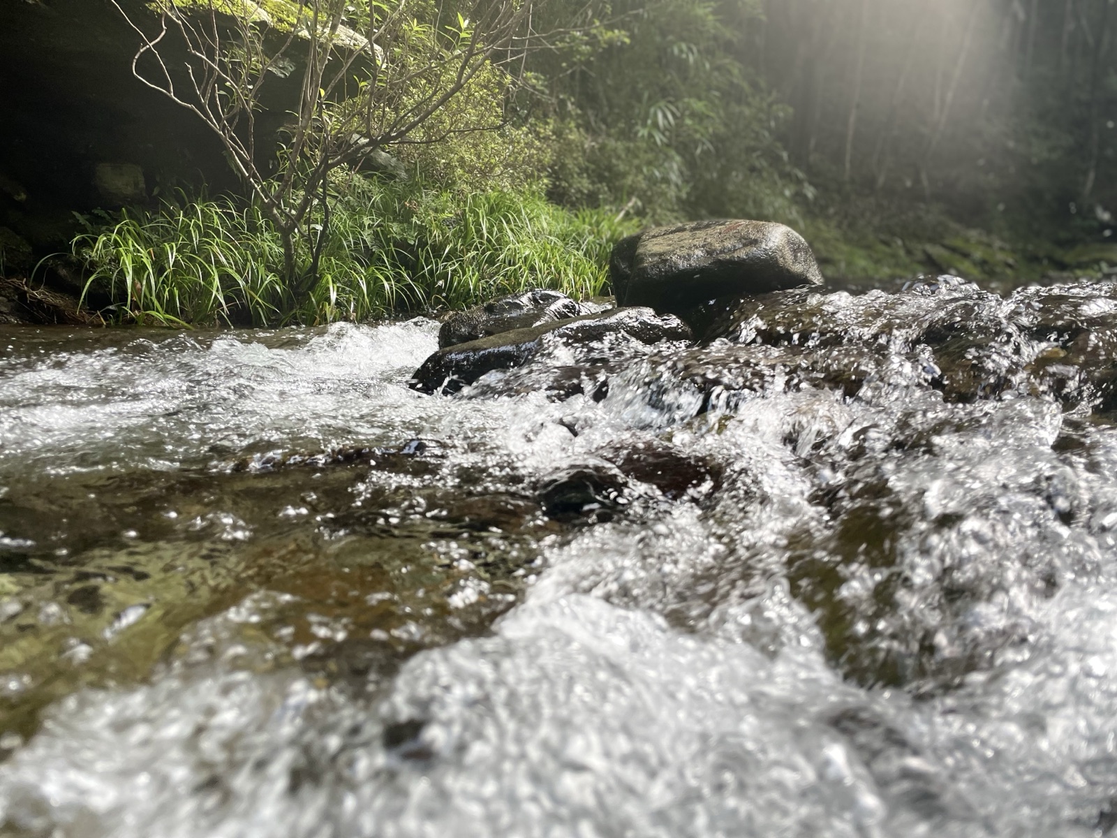 靜岡夏日河畔 與家人的光影時刻（静岡県）