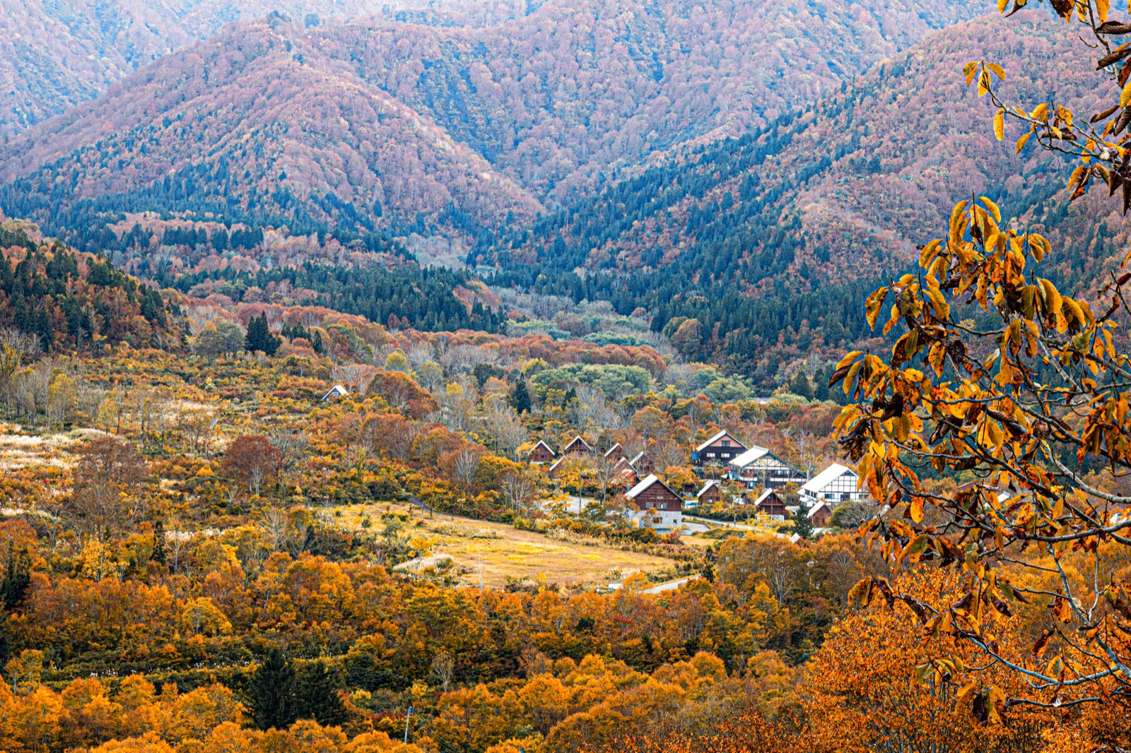 新潟秋色｜銀山平的楓紅靜謐時刻（新潟県）
