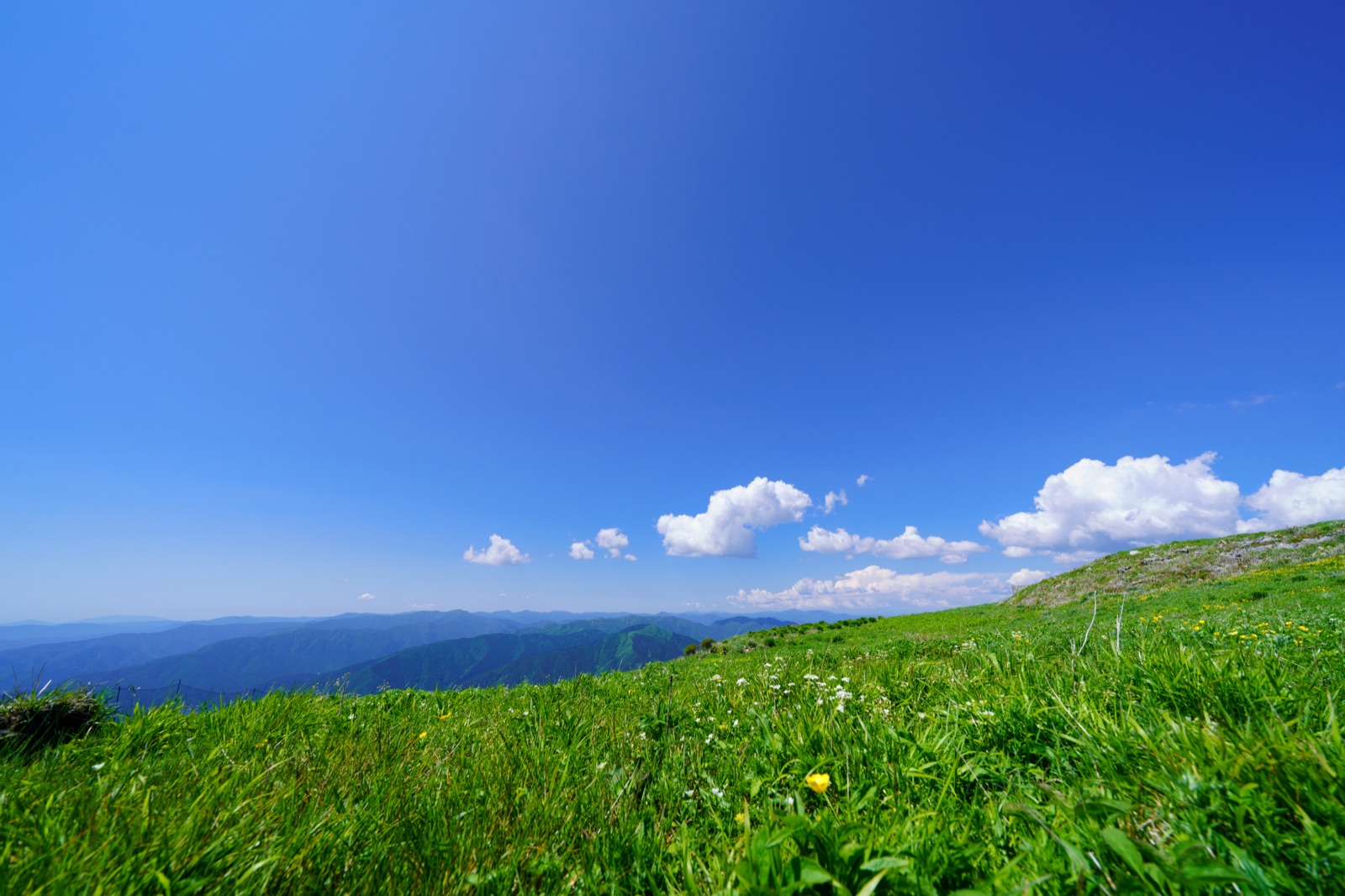 滋賀縣伊吹山的靜謐風景（滋賀県）