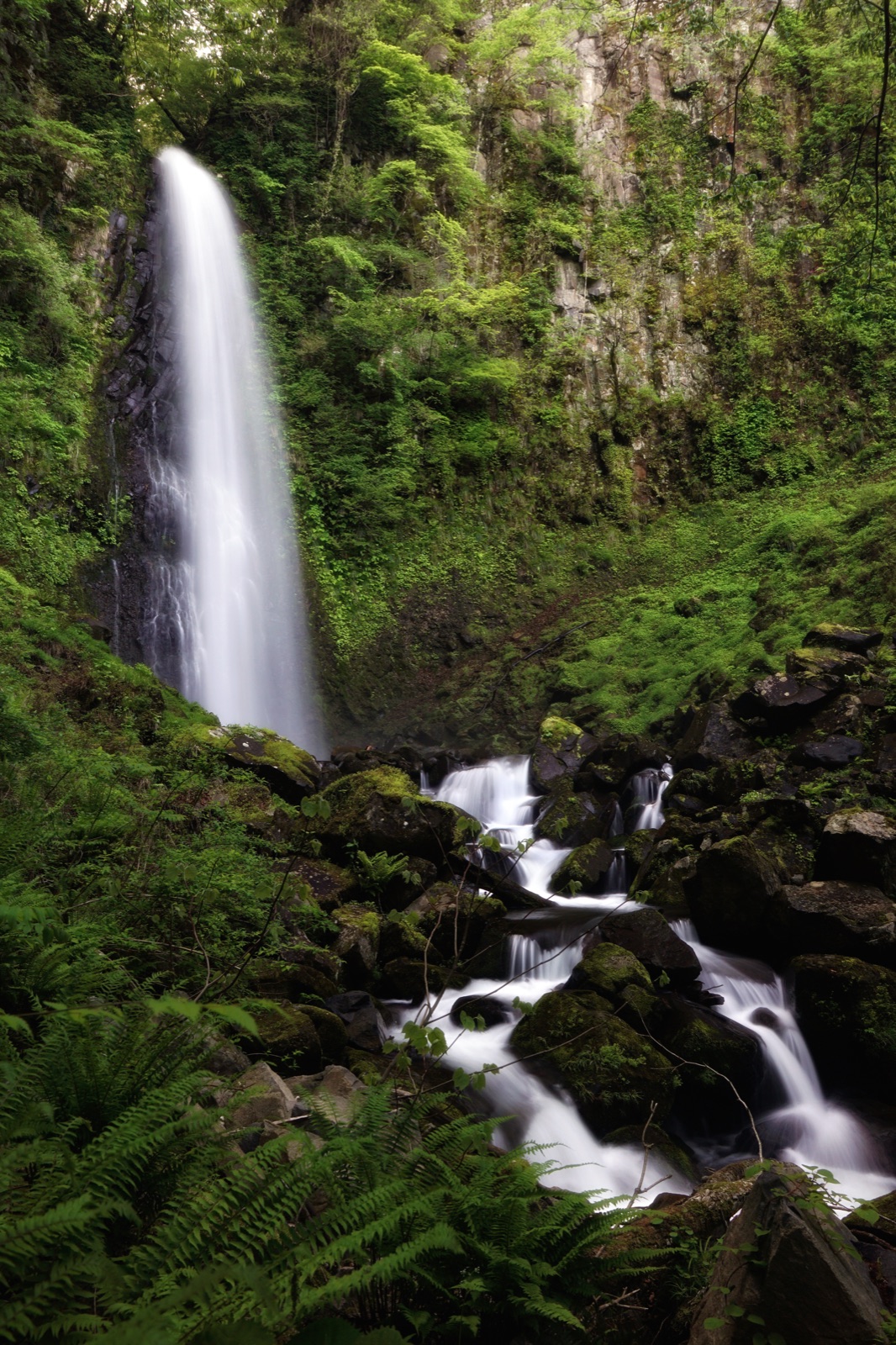 水聲入心 鳥取雨滝的靜謐時刻（鳥取県）