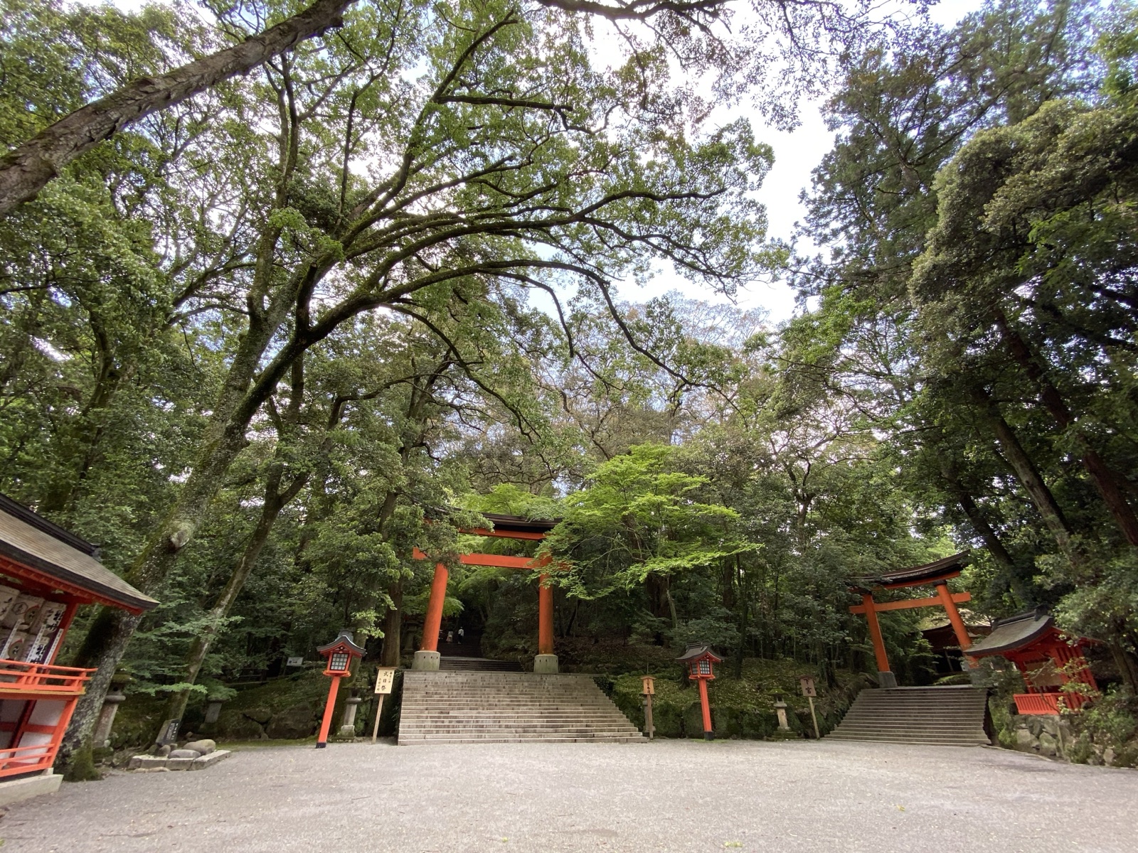 大分縣宇佐神宮參道 上宮階梯前的鳥居（大分県）