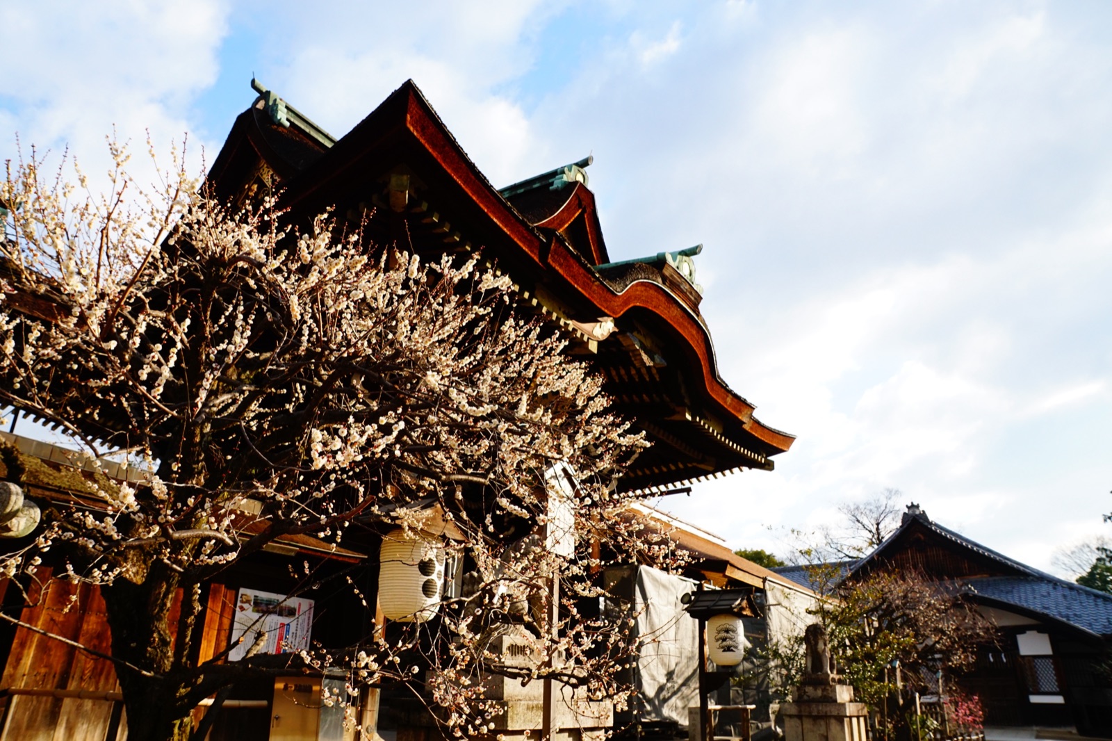 京都北野天滿宮三光門 梅花綻放的文化瑰寶（京都府）
