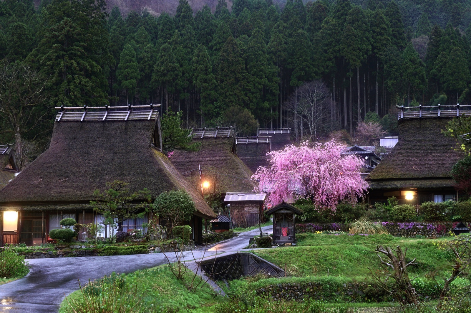 京都美山茅草屋村 春曉時分的日本原鄉（京都府）