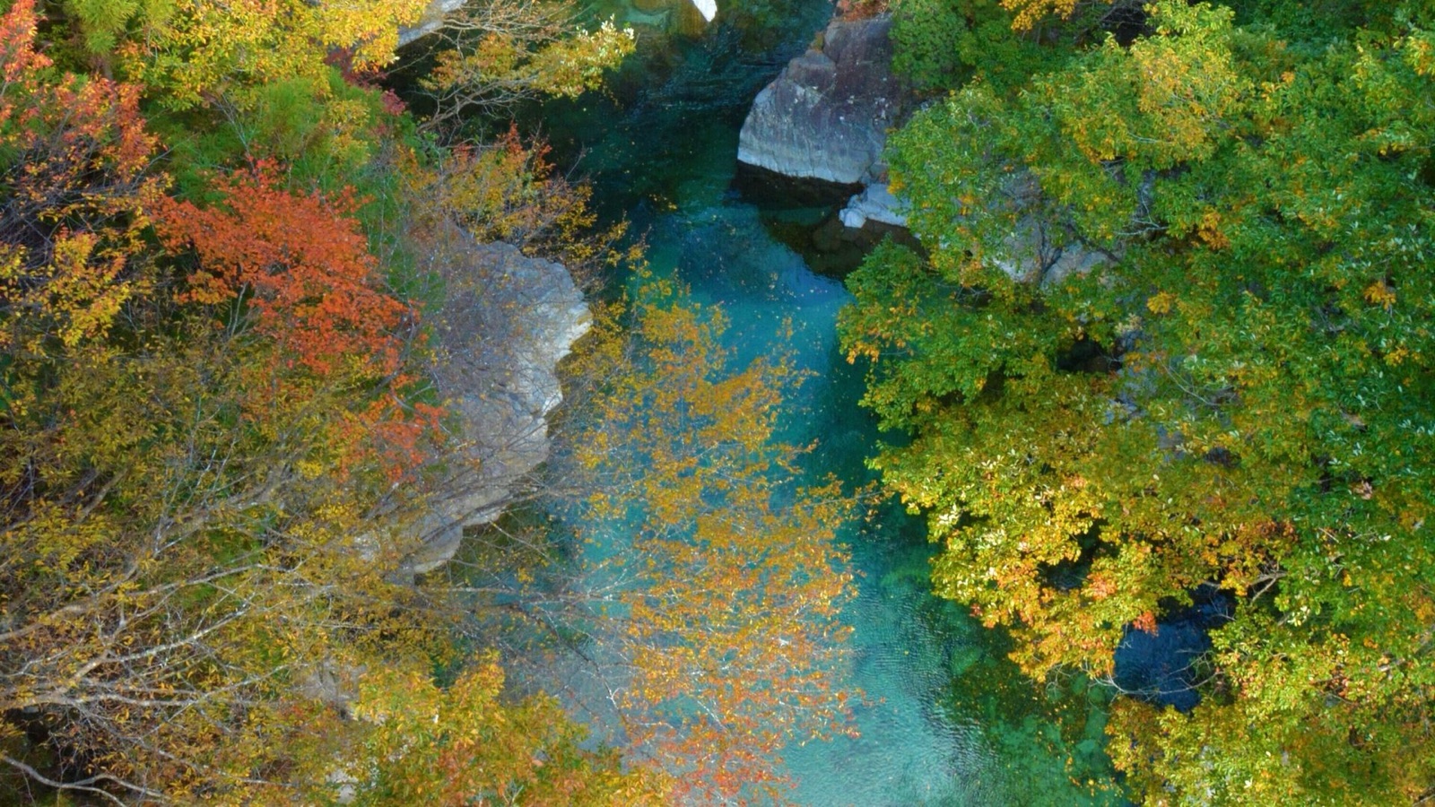 岐阜縣中津川市付知峽的靜謐峽谷（岐阜県）