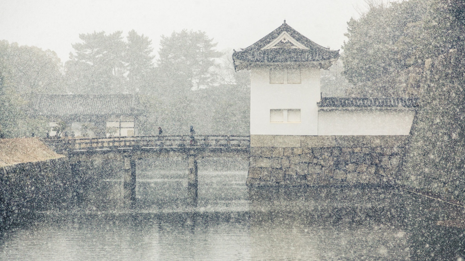 京都二條城的靜謐時刻（京都府）