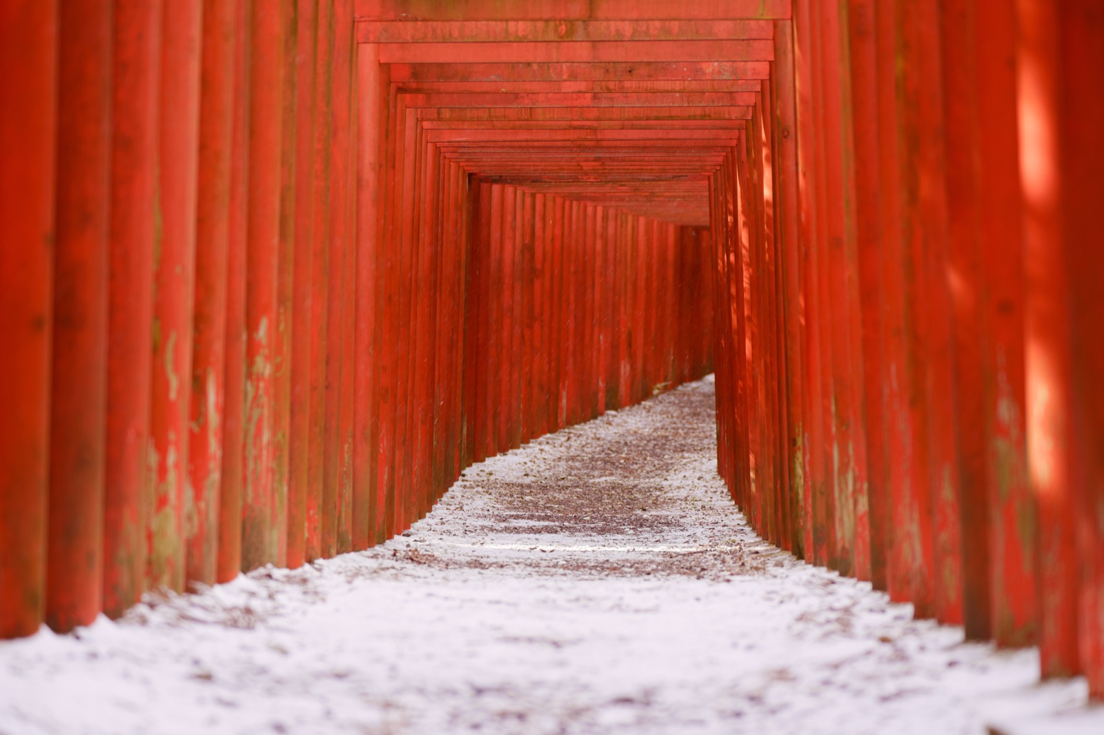 岐阜縣南宮稲荷神社的靜謐時刻（岐阜県）