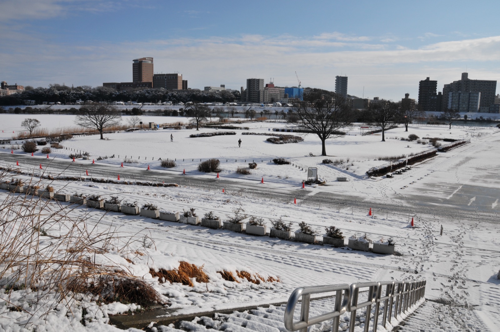 東京邊陲小岩菖蒲園 雪景中的靜謐風貌（東京都）
