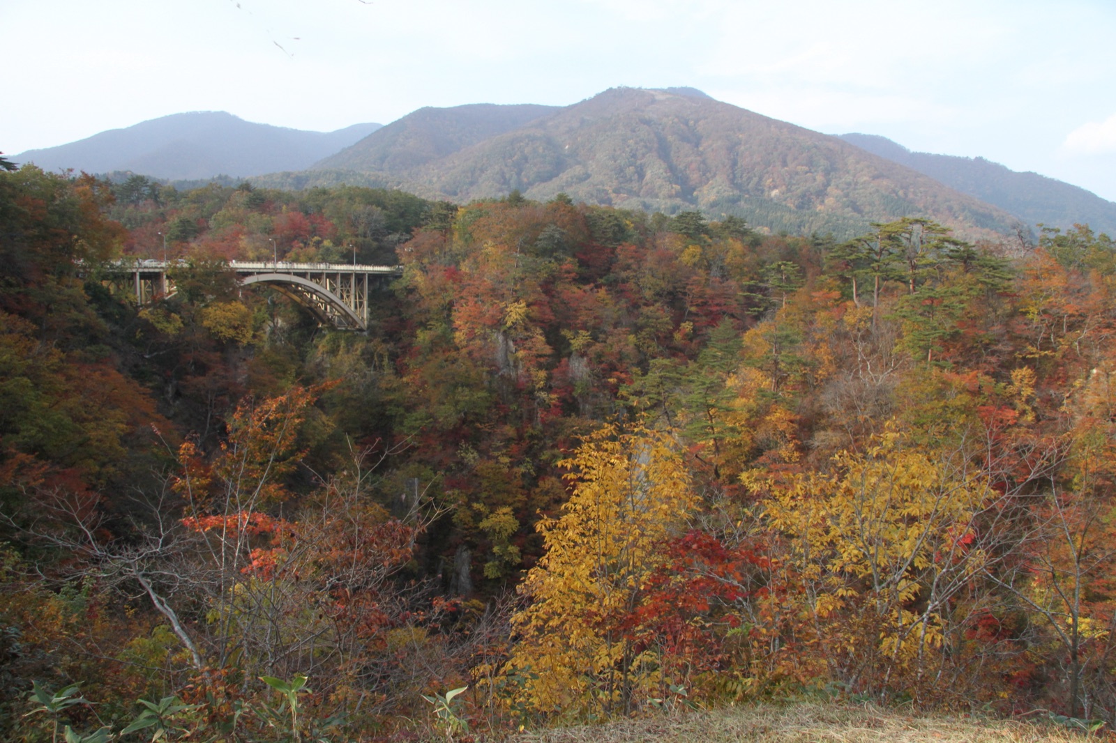 秋日鳴子峽 宮城山谷裡的紅葉靜謐（秋田県）