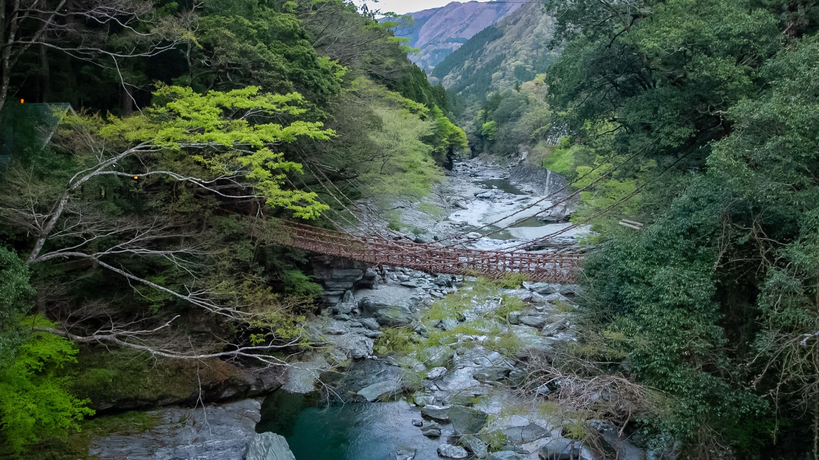 祖谷的葛藤橋——山間的古老通道（徳島県）