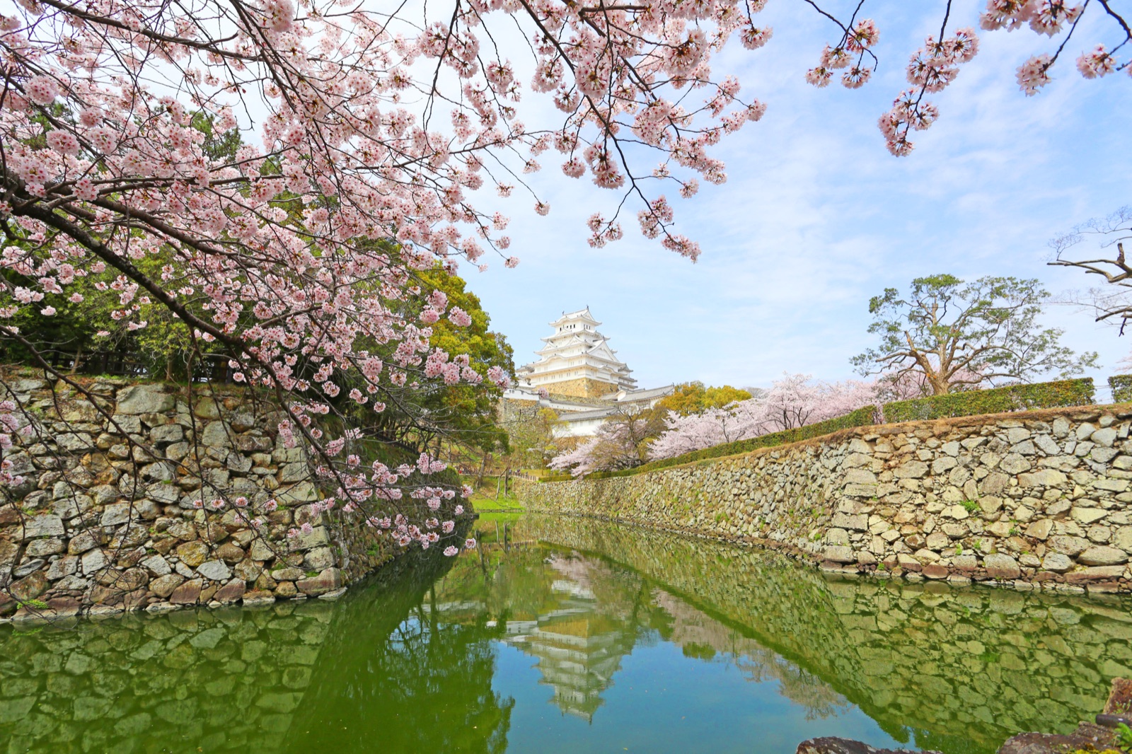 姫路城：兵庫縣的古城風韻（兵庫県）