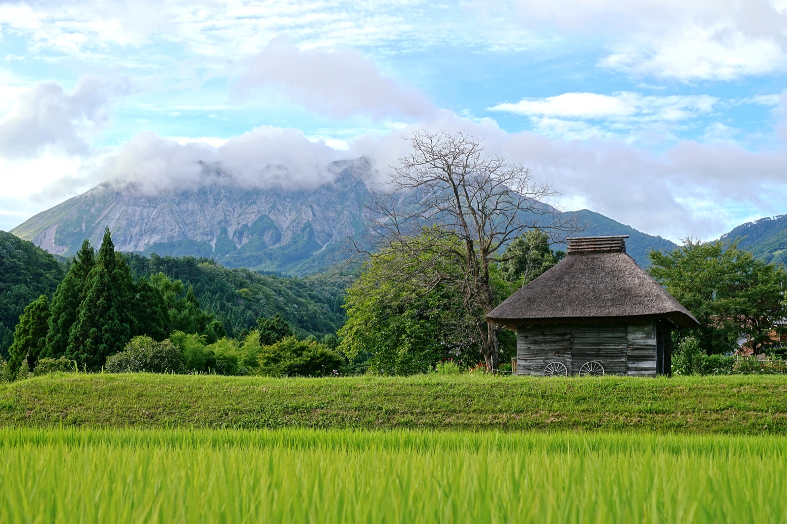 深山古屋見證時光 鳥取縣御機茅葺小屋（鳥取県）