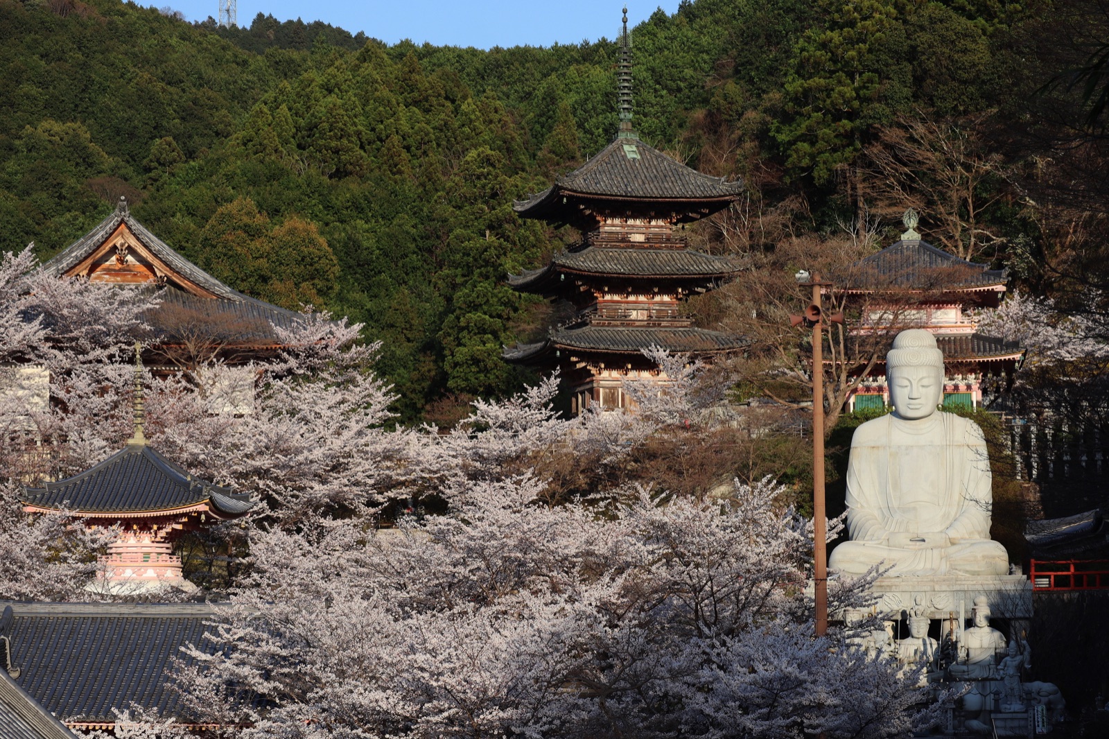 壺阪寺的靜謐時光（奈良県）