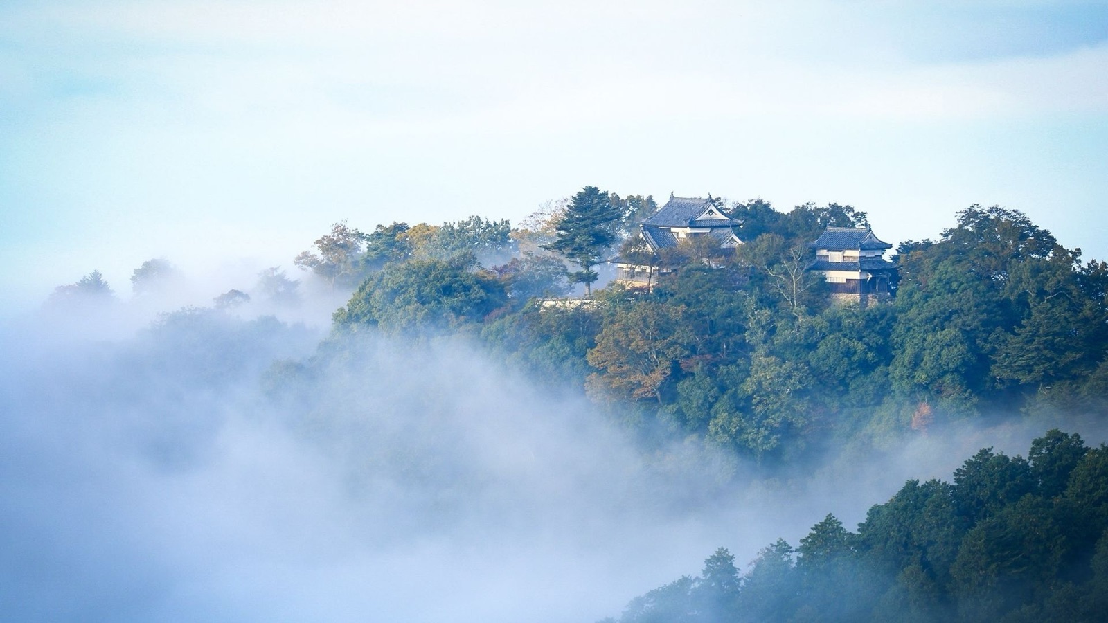 岡山天空之城 備中松山城於雲海中現身（岡山県）