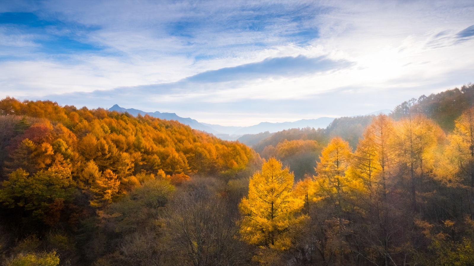 野邊山高原的秋色 長野八嶽東麓的紅葉季（長野県）