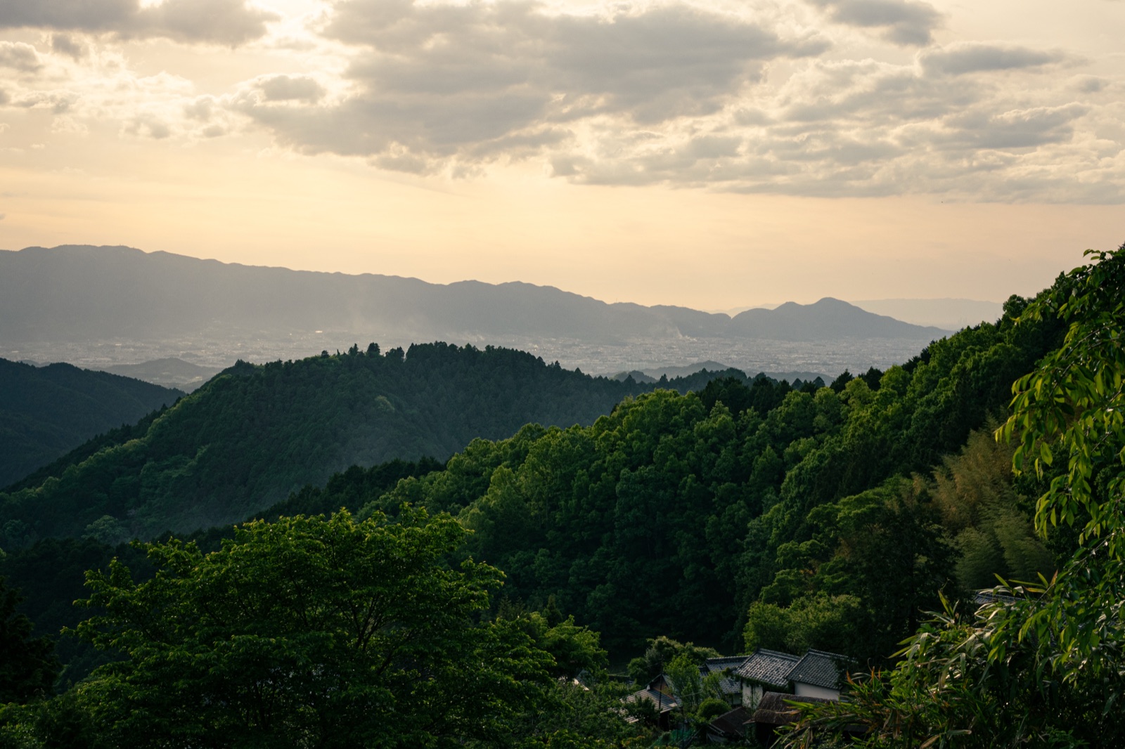 奈良奧明日香天空展望台：一條靜謐的山徑（奈良県）
