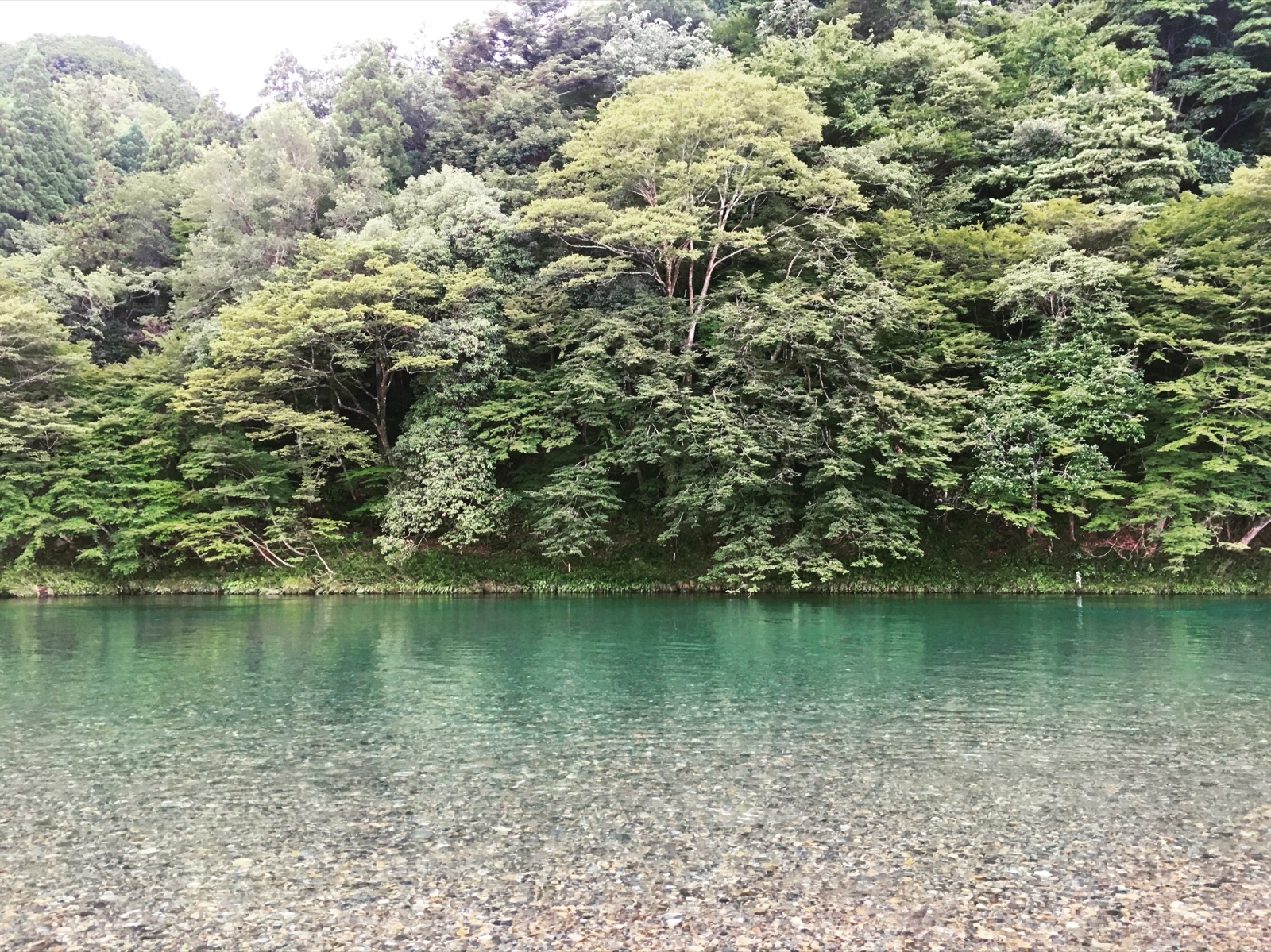 岐阜追憶川邊 季節裡的私密河畔（岐阜県）