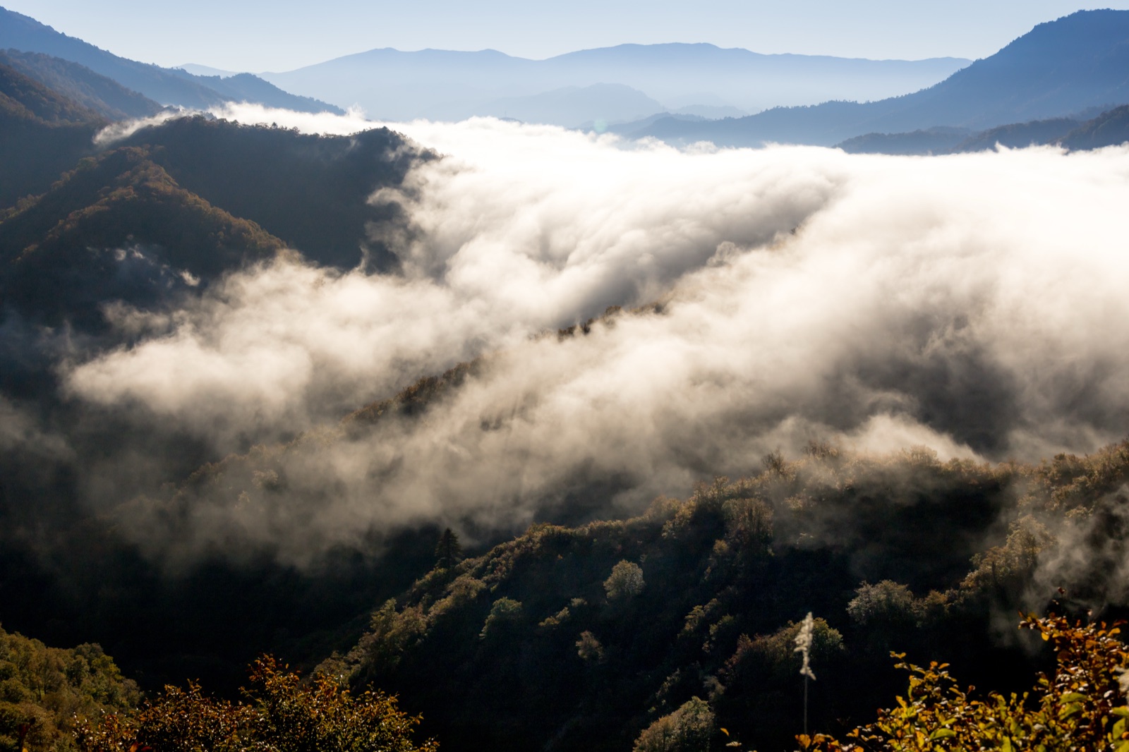 新潟枝折峠的瀑布雲 靜謐的水蒸氣奇景（新潟県）