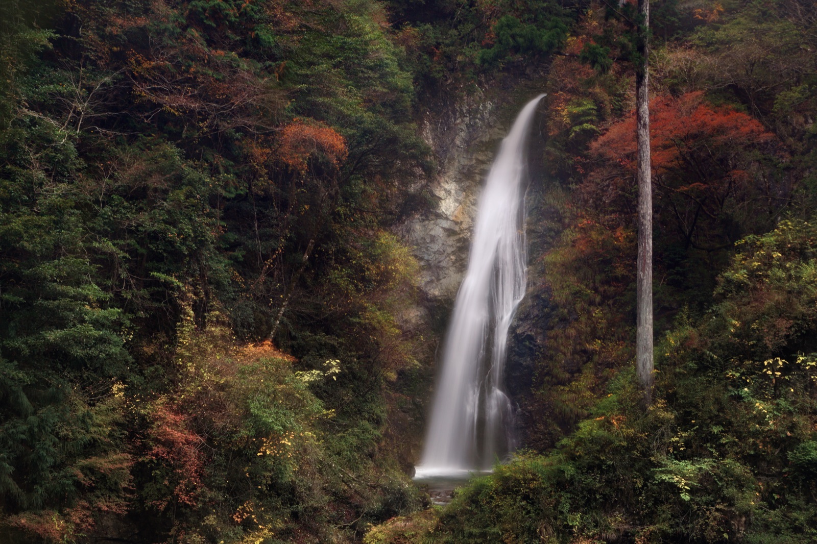兵庫晚秋晨霧中 原不動滝的幻想時刻（兵庫県）