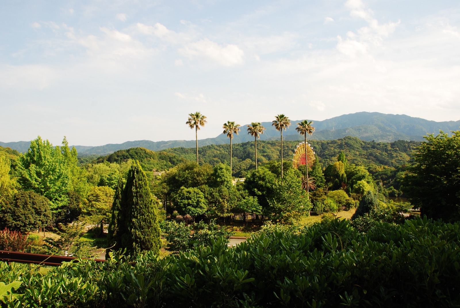 德島植物園的綠意世界（徳島県）