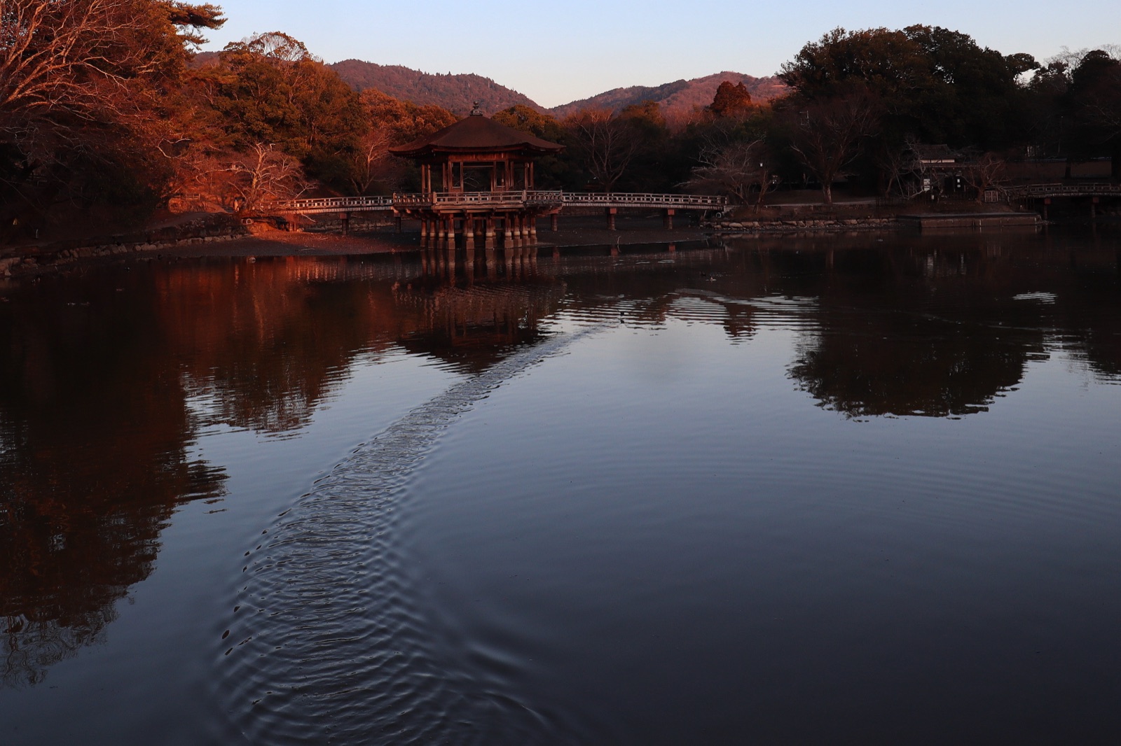 奈良浮見堂：水畔的靜謐身影（奈良県）