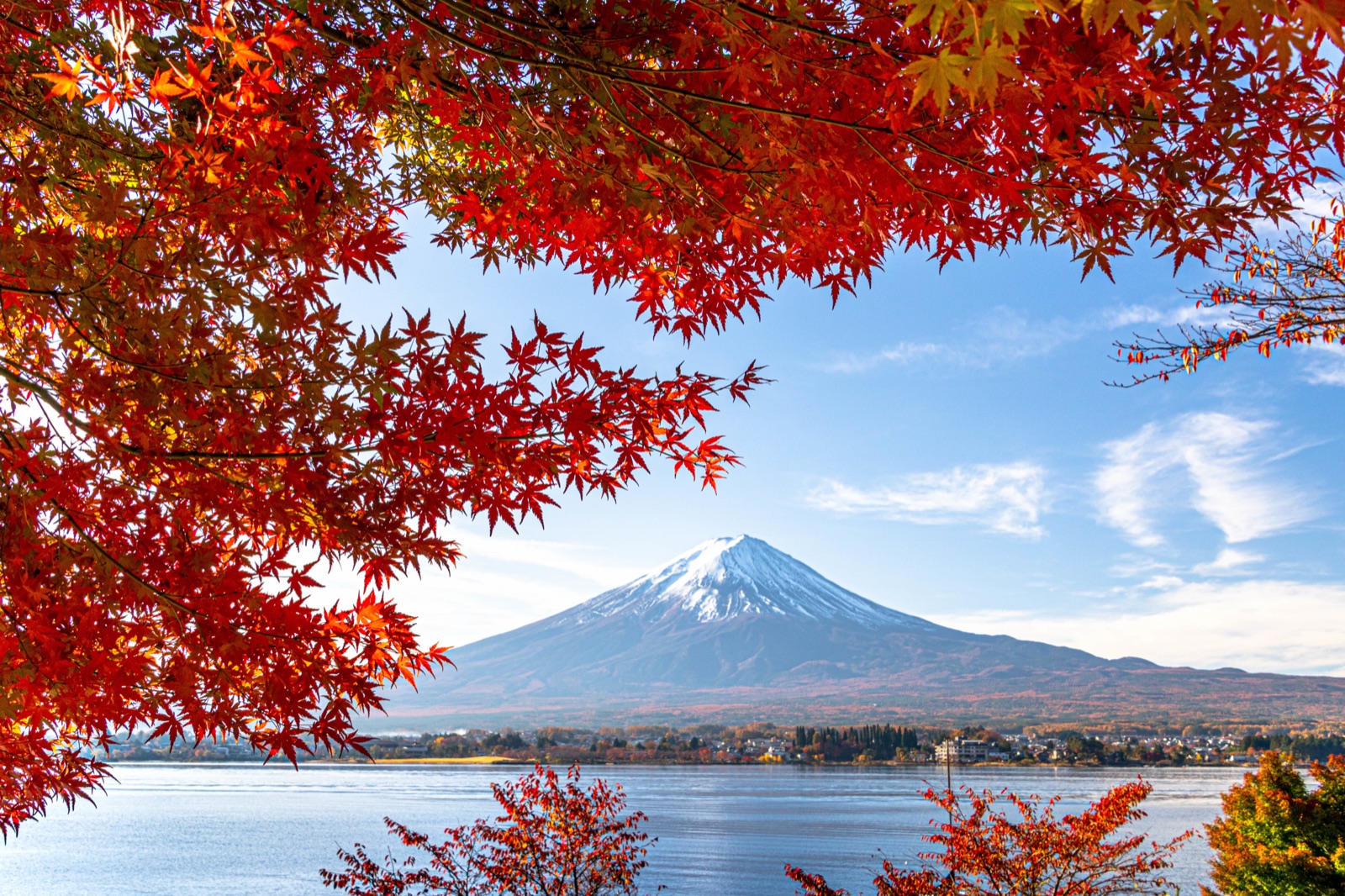 河口湖畔的秋色 富士山映在楓紅裡（山梨県）