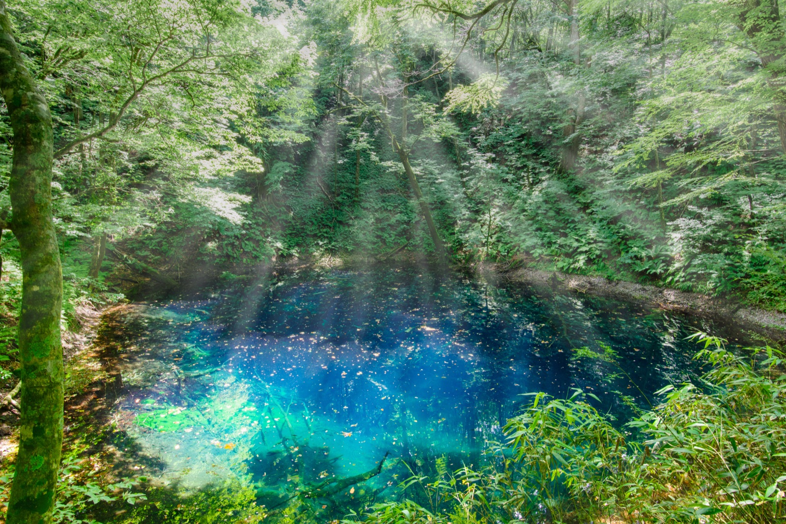 青森深浦青池 光影交織的靛藍秘境（青森県）
