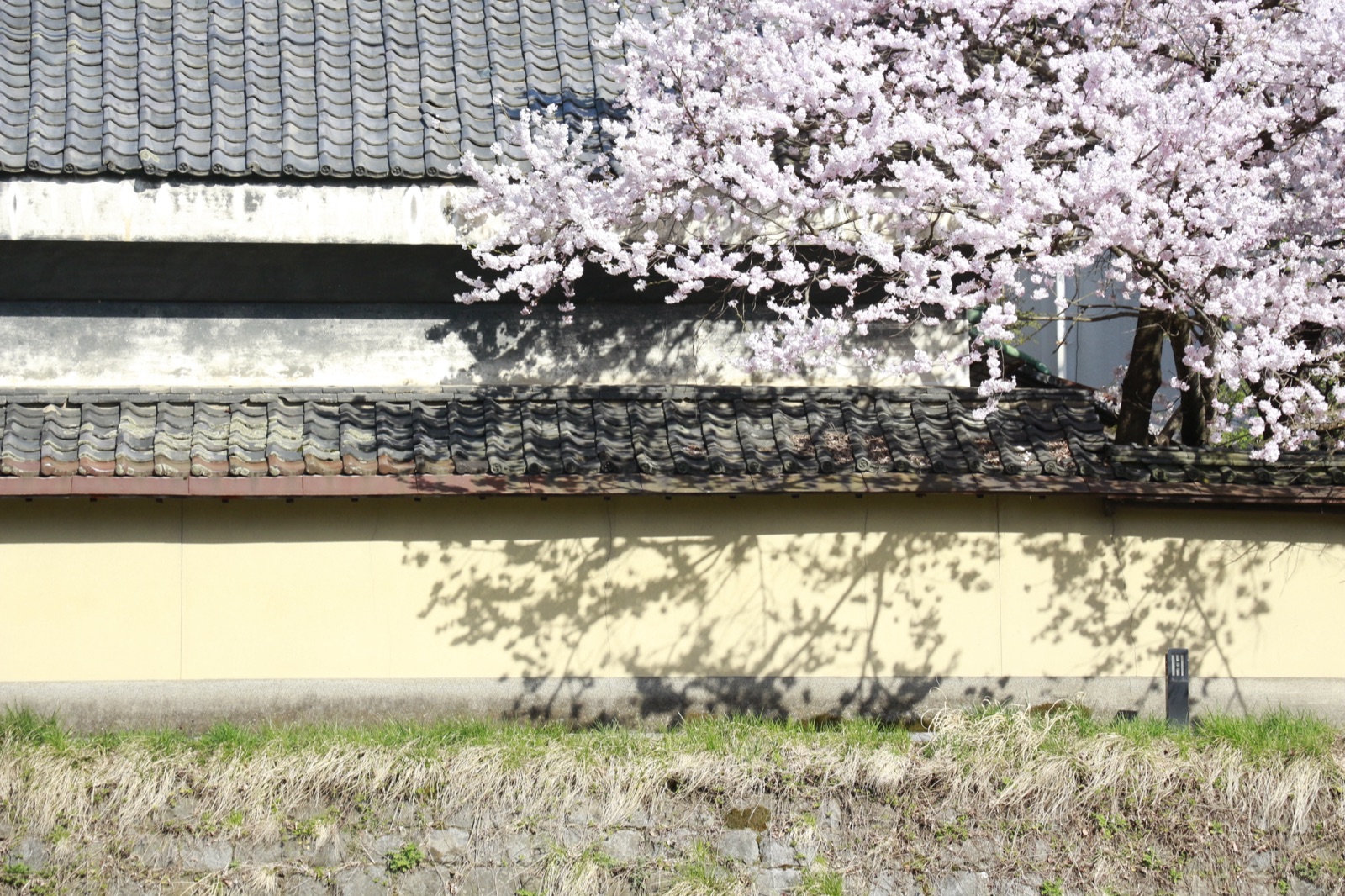 岩手縣春日風景攝影作品（岩手県）