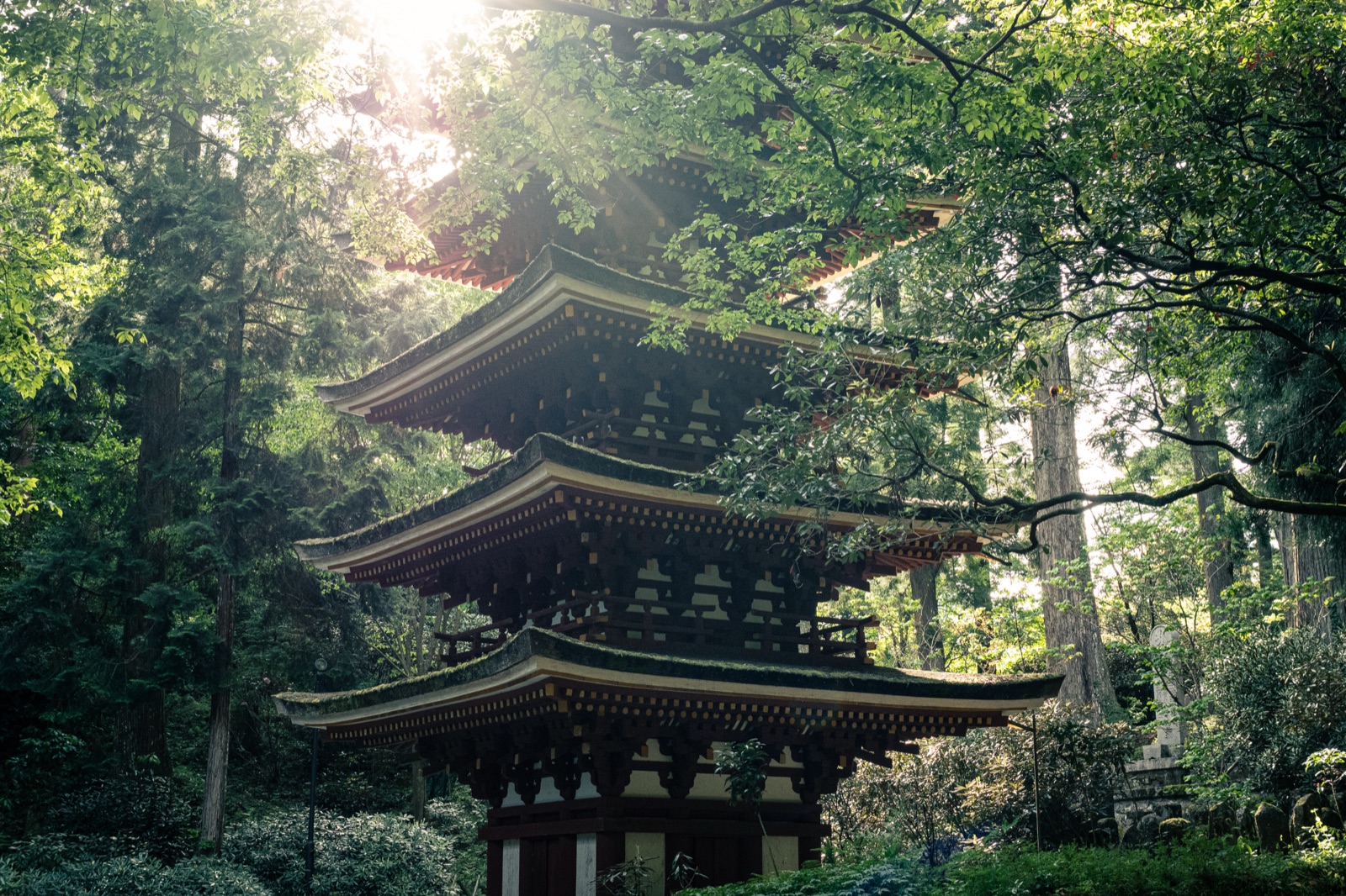 奈良室生寺五重塔 日本最小的戶外塔影（奈良県）