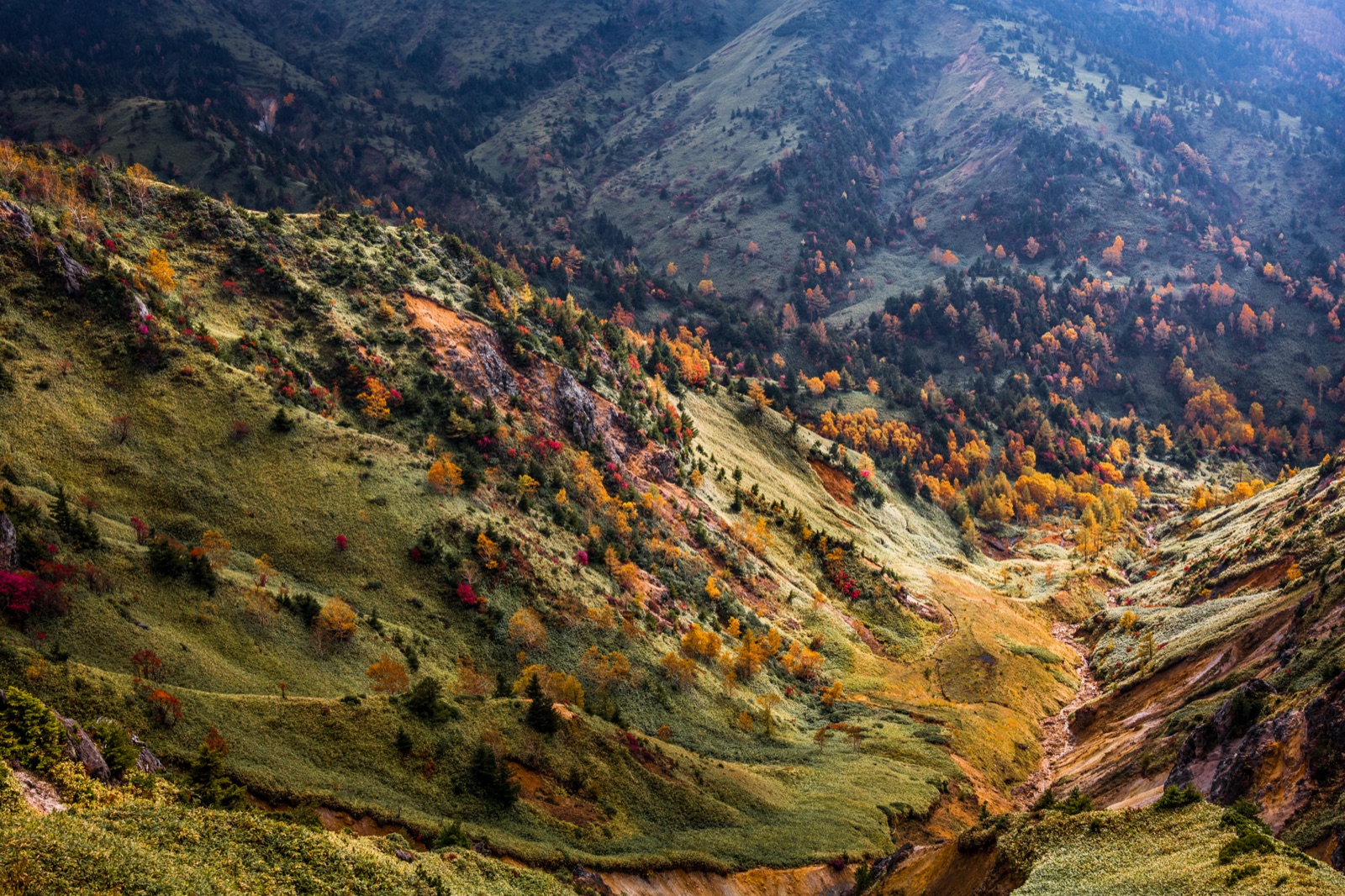 高地的色彩——長野秋日山景（長野県）