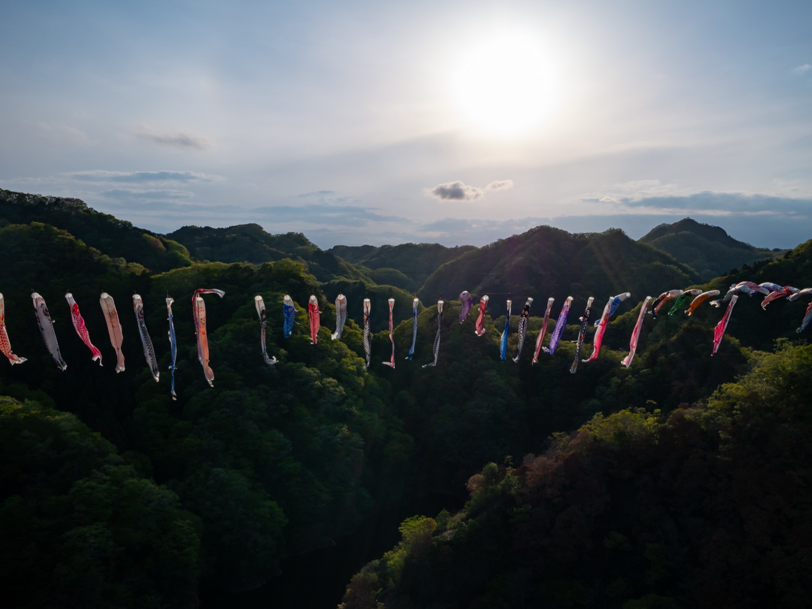 龍神大橋上空的鯉魚旗祭 茨城的春日風景（茨城県）