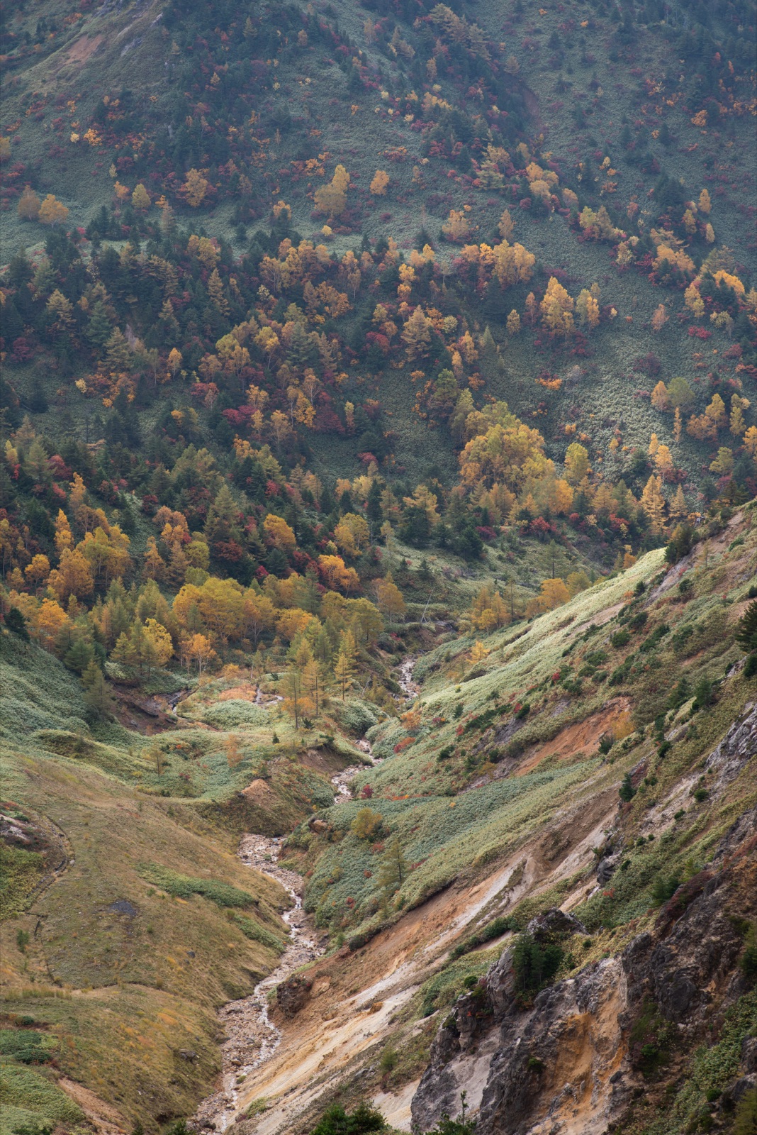 志賀高原橫手山停靠站的高原風景（長野県）
