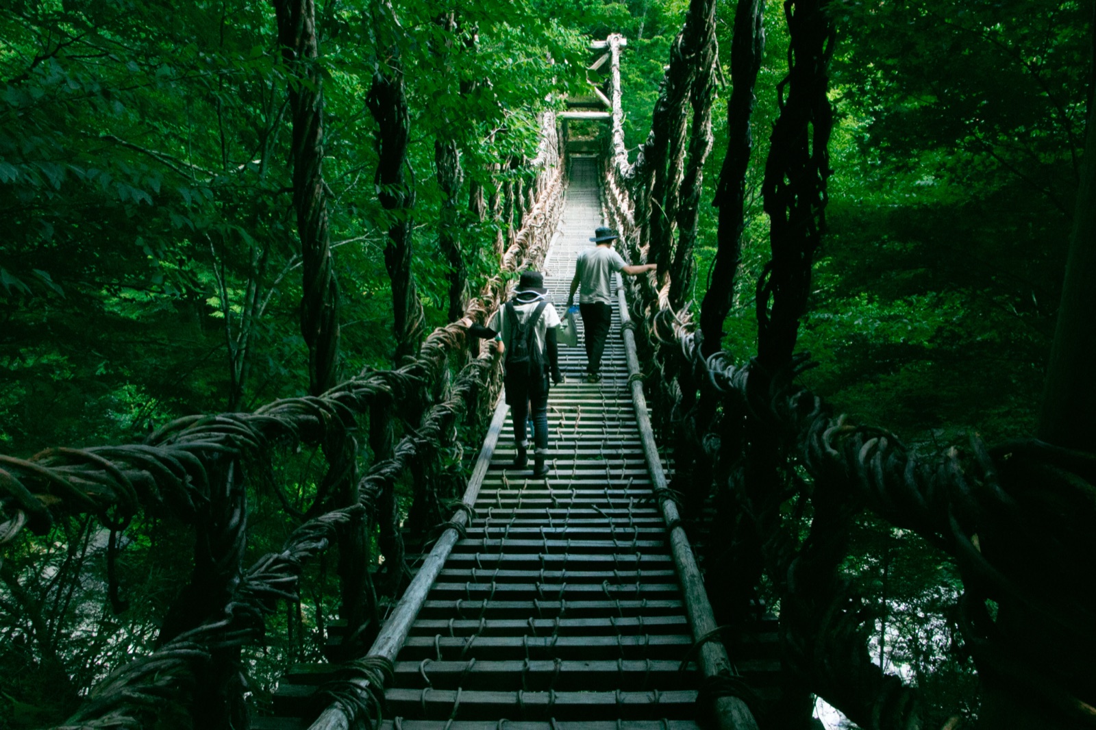 祖谷溪吊橋（徳島県）